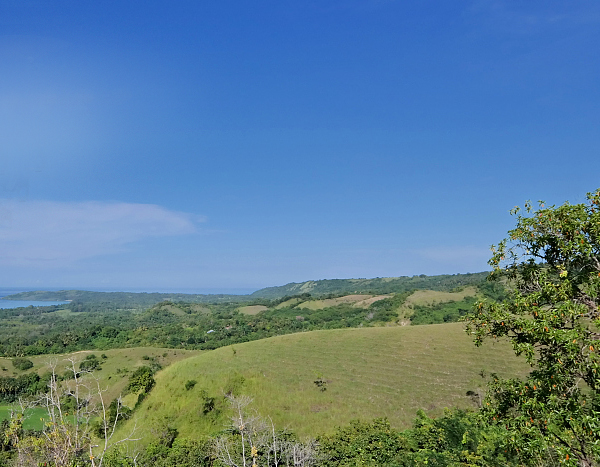 可光見+熱成像雙光煙飛檢測(cè)報(bào)警
