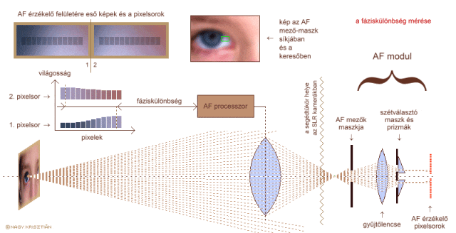 相位對焦系統(tǒng)